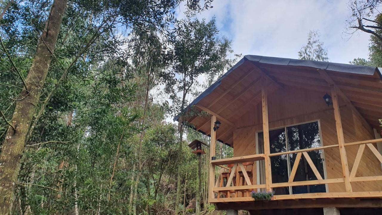 Cabanas Piedemonte Santa Elena  Exterior photo