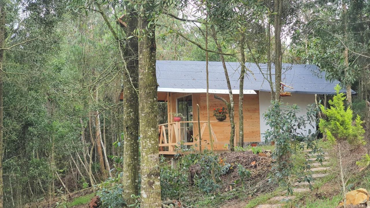 Cabanas Piedemonte Santa Elena  Exterior photo