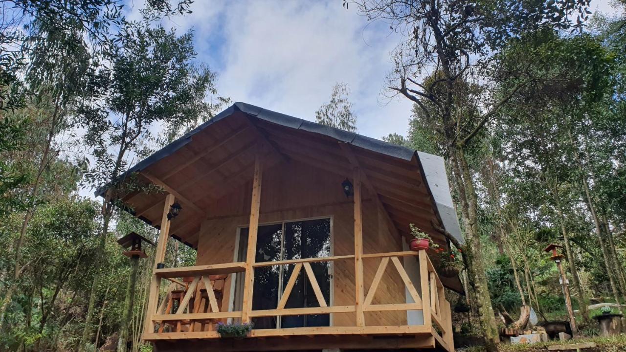 Cabanas Piedemonte Santa Elena  Exterior photo